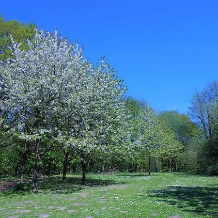 Panoramic Auszeit Mit Meerblick