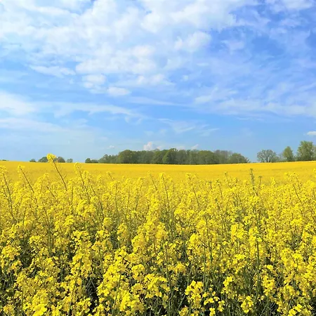 Panoramic Auszeit Mit Meerblick