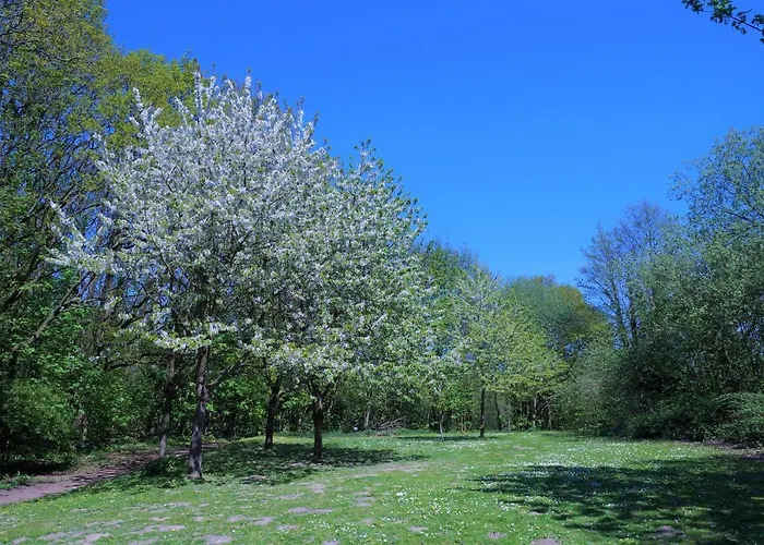 Panoramic Auszeit Mit Meerblick