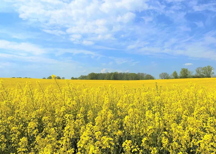 Panoramic Auszeit Mit Meerblick